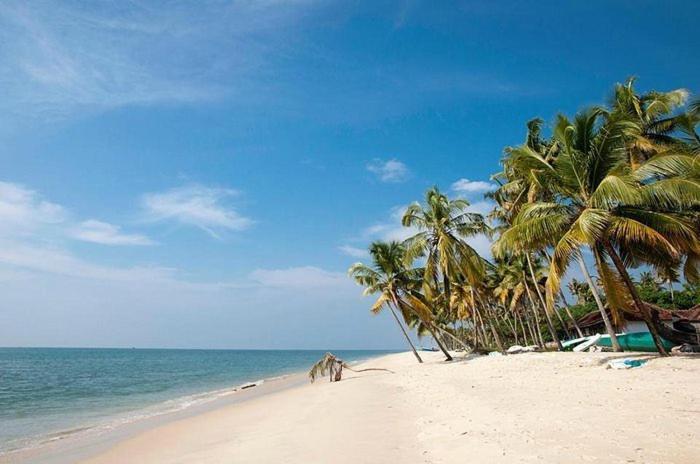 Marari Beach Clleetus Homestay Mararikulam Exterior photo